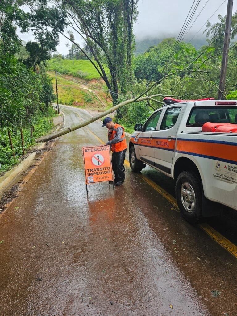 Estrada que liga o Farofa a Brumadinho passou por interdição após queda de árvore